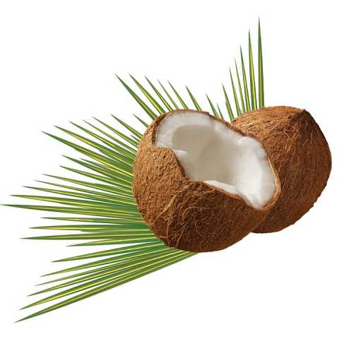 Kokos