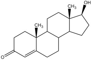 Testosteron
