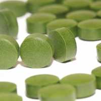 Chlorella